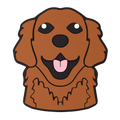 Budz | Retriever